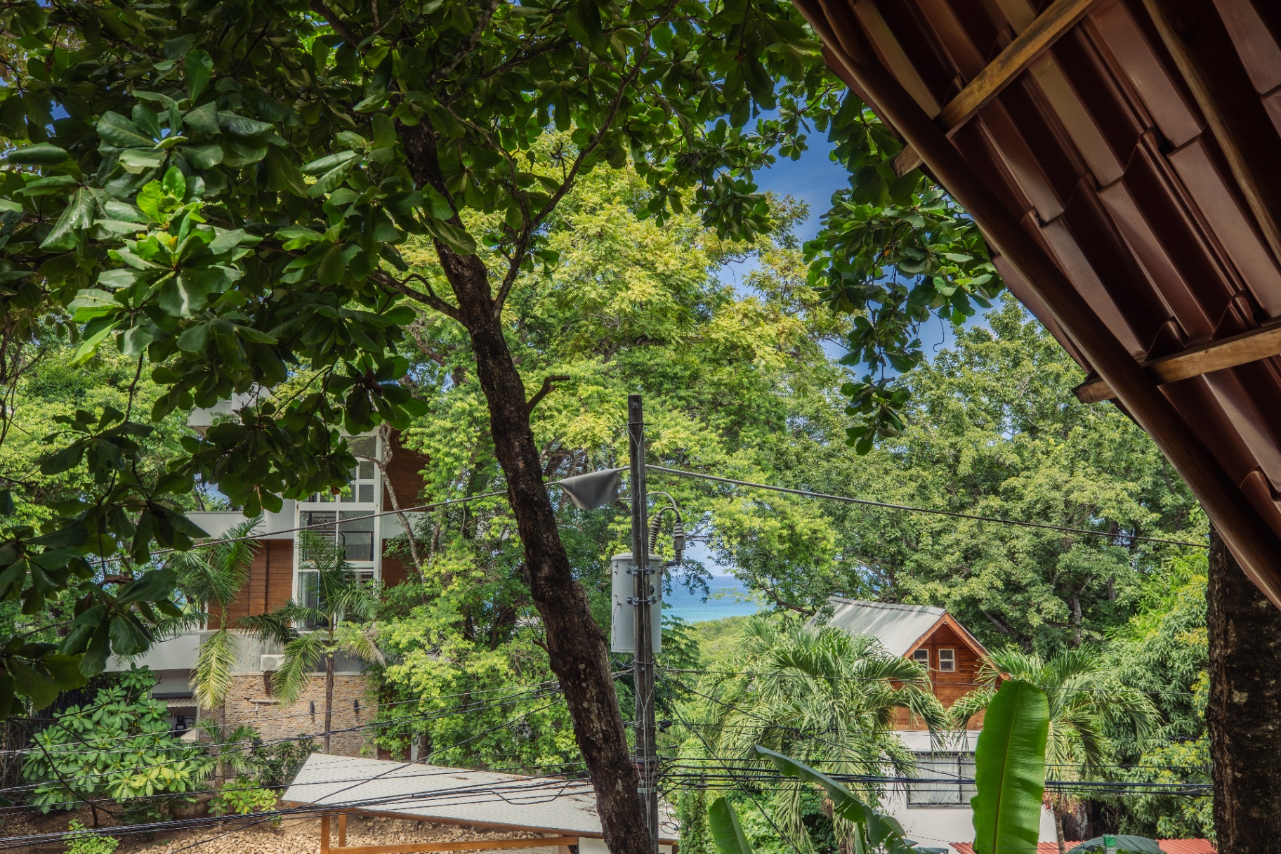 A glimpse of the Pacific through the tropical canopy from the property