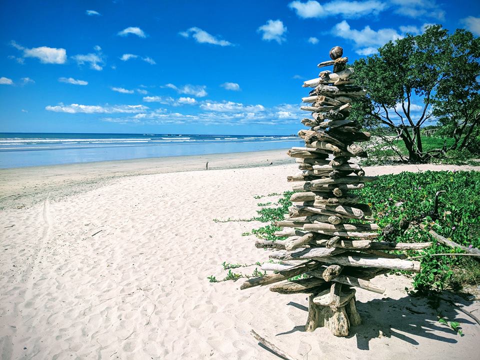 Driftwood sculpture on the empty sand of Playa Pelada, with turquoise surf beyond.